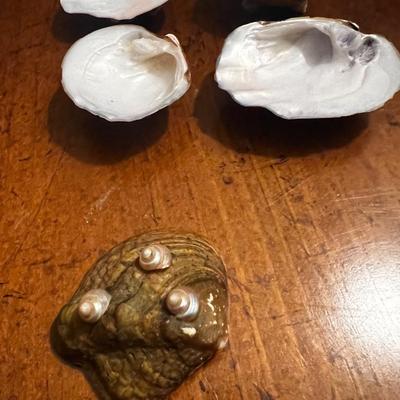 Lot of 22 Salts