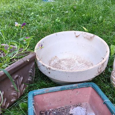 Cute Flowerpots - with pansies, adorable chicken pot