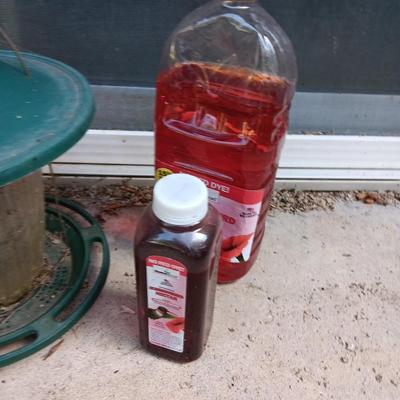 Bird feeders & Hummingbird feeder with nectar