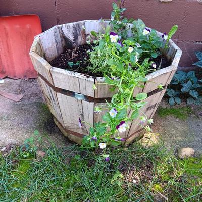 Small wine barrel like planter with pansies