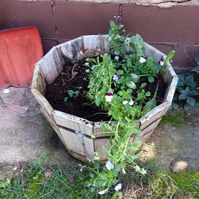 Small wine barrel like planter with pansies