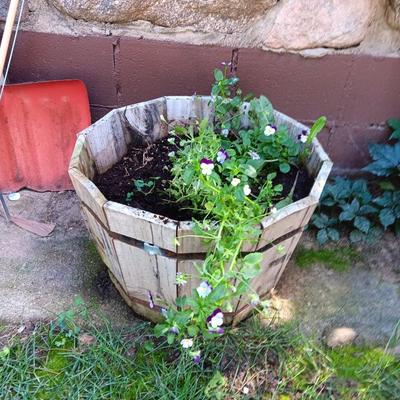 Small wine barrel like planter with pansies