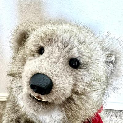 Beaver Valley - Julian Bear