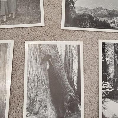 Antique/Vintage Cards and Photo Postcards