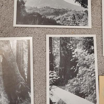Antique/Vintage Cards and Photo Postcards