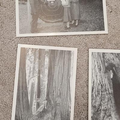 Antique/Vintage Cards and Photo Postcards