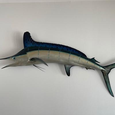 Taxidermy Sailfish Marlin  fish mount 88" length
