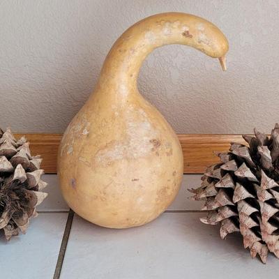 Large Pinecones and Gourd
