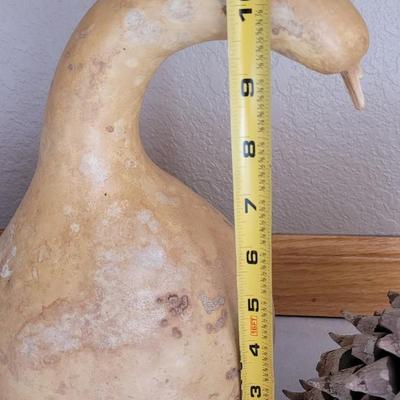 Large Pinecones and Gourd