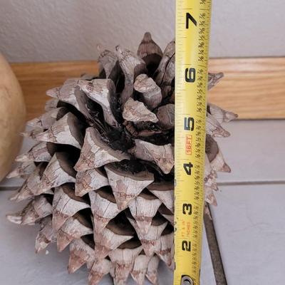 Large Pinecones and Gourd