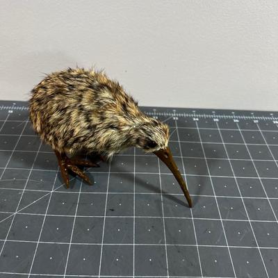 Kiwi Bird Replica 