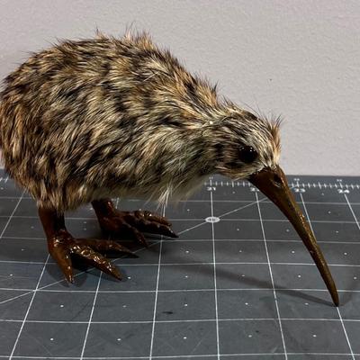 Kiwi Bird Replica 