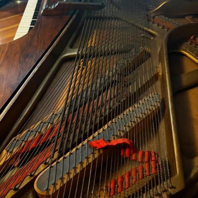 Gorgeous! MATHUSHEK Manufacturing Company Orchestral Piano