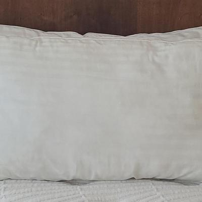 (2) King Therapedic Pillows