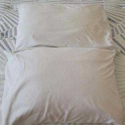 (2) Standard Therapedic Foam Contour Pillows