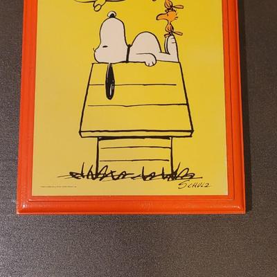 1960s and 70s Snoopy Fitted Sheet, Book, and Plaque