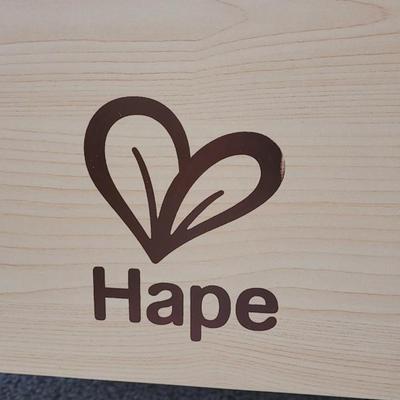 Hape Train Table