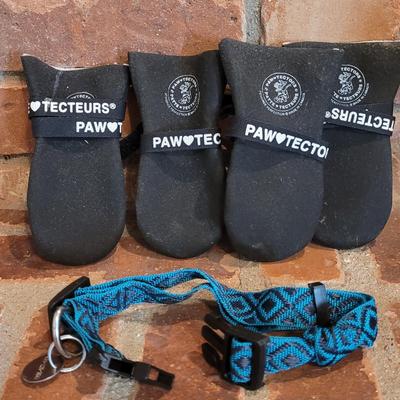 Paw-tectors and Collar