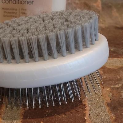 Pet Shampoo & Conditioner and 2 Brushes