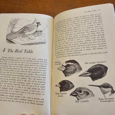 Collection of Bird Books & More  (O-JS)
