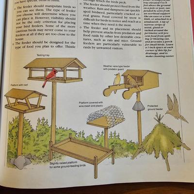 Collection of Bird Books & More  (O-JS)