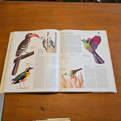 Collection of Bird Books & More  (O-JS)