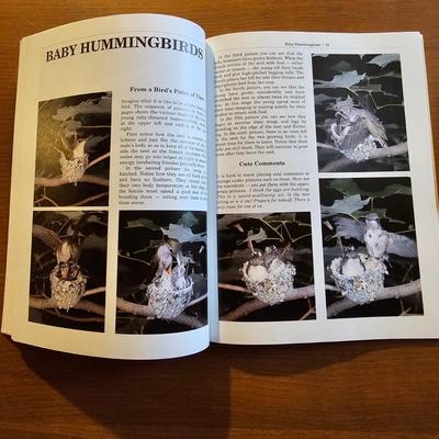 Collection of Bird Books & More  (O-JS)