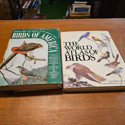 Collection of Bird Books & More  (O-JS)
