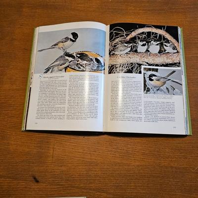 Collection of Bird Books & More  (O-JS)