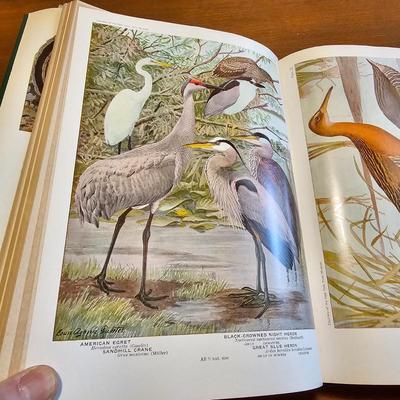 Collection of Bird Books & More  (O-JS)