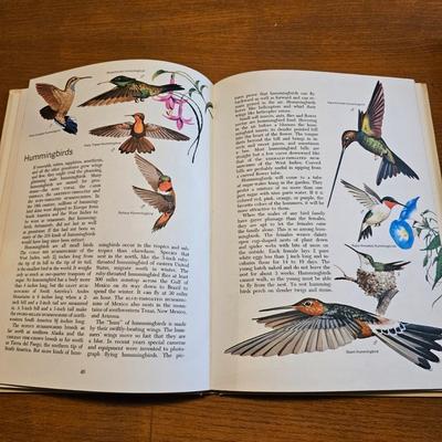 Collection of Bird Books & More  (O-JS)