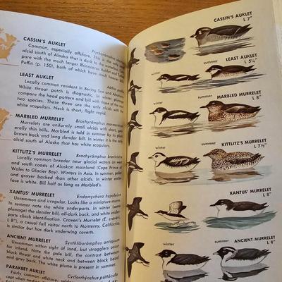 Collection of Bird Books & More  (O-JS)