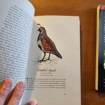 Collection of Bird Books & More  (O-JS)