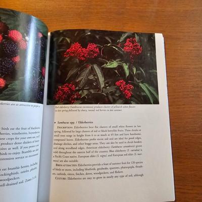 Collection of Bird Books & More  (O-JS)