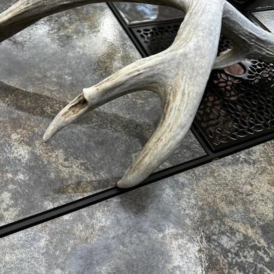 Awesome 3 Point Mule Deer Shed
