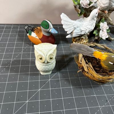 Pile of Birds, All manner