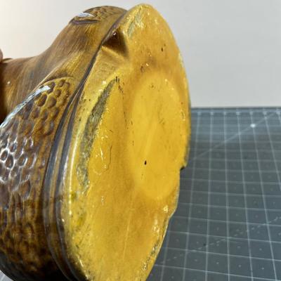 Old Mother Hubbard's Cookie Jar