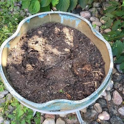 Ceramic Planter on a Metal Stand