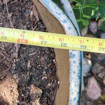 Ceramic Planter on a Metal Stand
