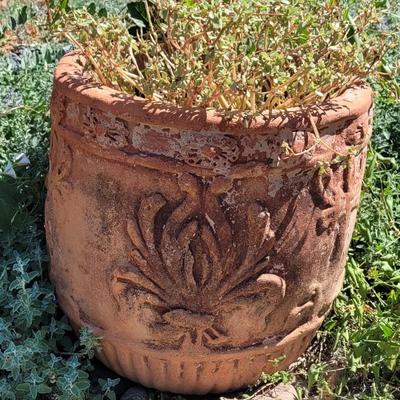 Terracotta Planter