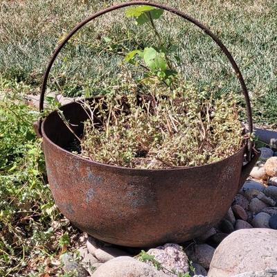 Antique Cast Iron Cauldron Planter