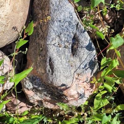 12" - 5" Large Landscaping Rocks
