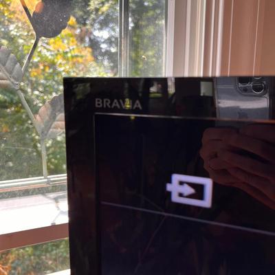 Sony 55" LCD 3D LED TV w Remote