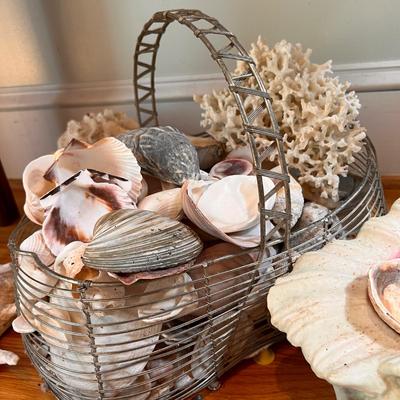 Large Shell Lot