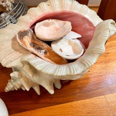 Large Shell Lot