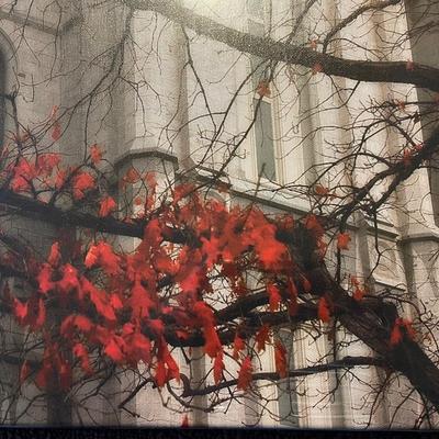 SALT LAKE TEMPLE - AMARANTHINE BY ROBERT A BOYD