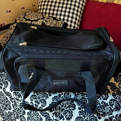 Up -- Pet carrier, cat or small dog 