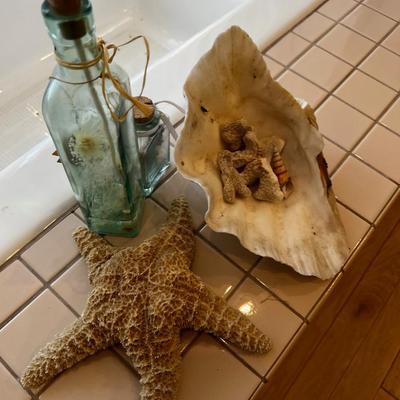UP -- Sea Shells and Coral