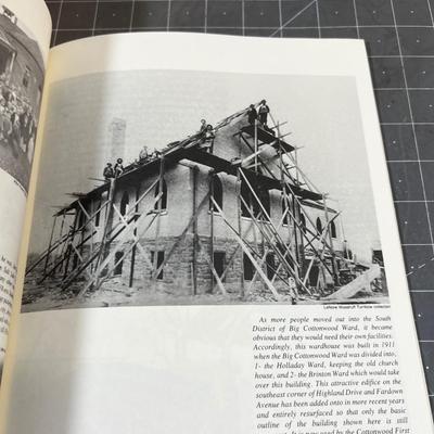 Holladay and Cottonwood Faces and Place by Steven L. Carr