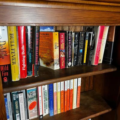 Book Shelf #2 Novels, 3 full shelves